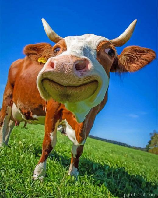 Happy Cow Painting By Numbers Kits