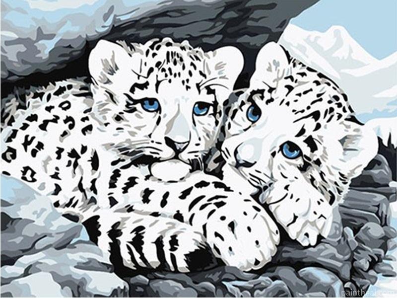 Blue Eyed Snow Leopard Cubs – 5D Diamond Paintings Painting By Numbers Kits