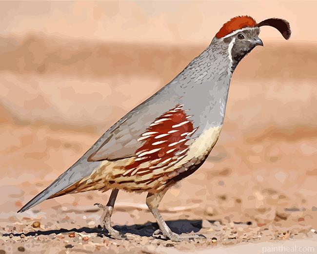 Aesthetic Quail Bird Painting By Numbers Kits