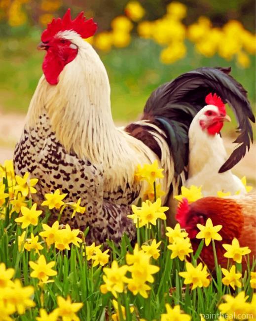 Rooster And Chicken Painting By Numbers Kits