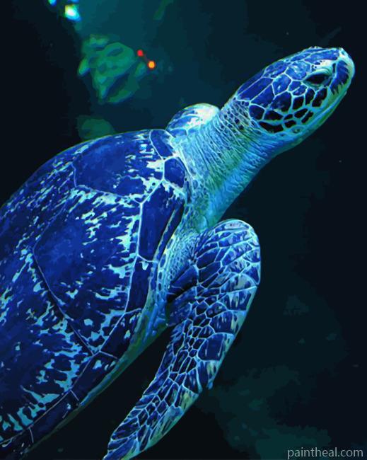 Blue Sea Turtle Painting By Numbers Kits