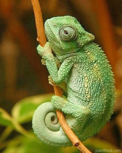 Cute Chameleon Reptile Painting By Numbers Kits