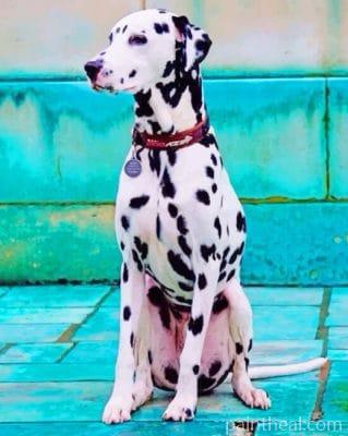 Dalmatian Dog Painting By Numbers Kits