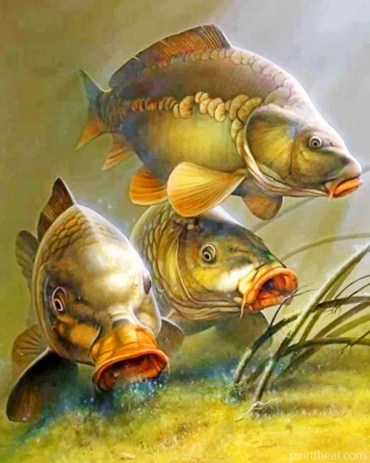 Carp Fishes Painting By Numbers Kits