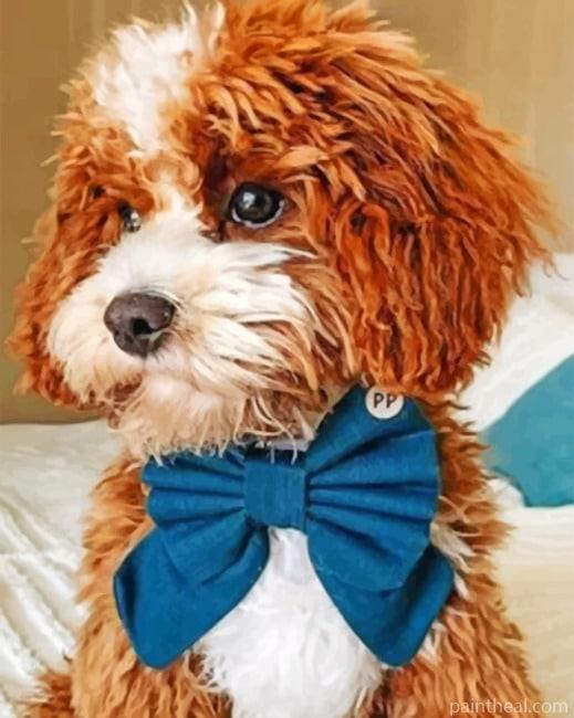 Cockapoo Pet Animal Painting By Numbers Kits