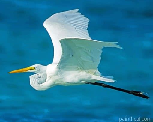 Flying White Bird Painting By Numbers Kits