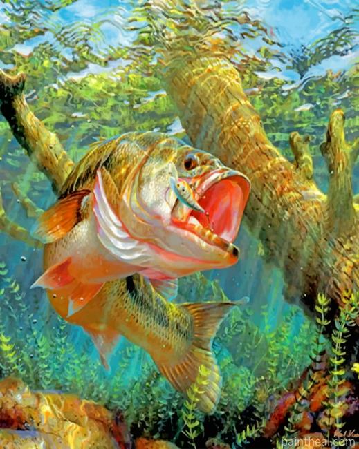 Bass Fish Painting By Numbers Kits