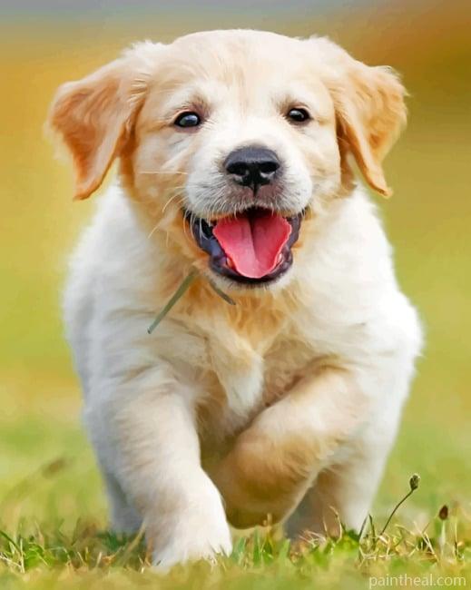 Happy Golden Puppy – 5D Diamond Painting Painting By Numbers Kits