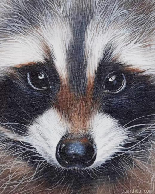 Raccoon Portrait Painting By Numbers Kits