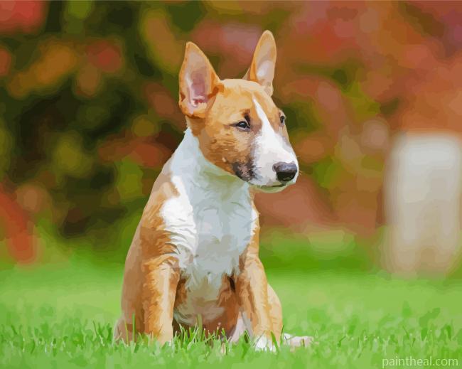 Cute English Bull Terrier Puppy Painting By Numbers Kits
