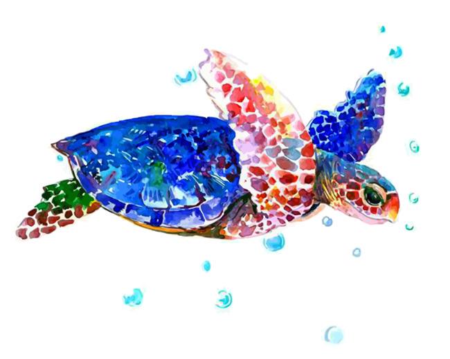 Colorful Blue Sea Turtle Painting By Numbers Kits