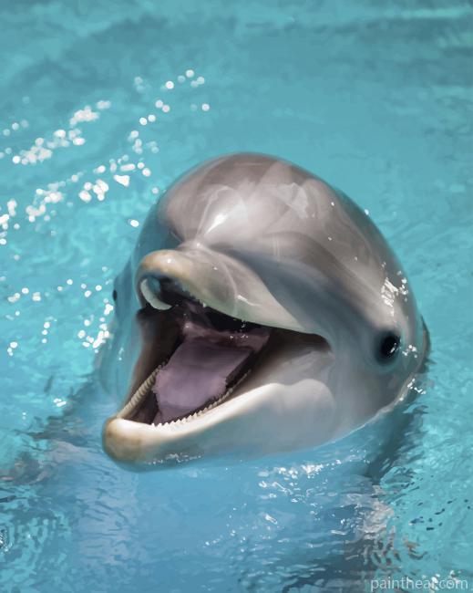 Happy Dolphin Painting By Numbers Kits