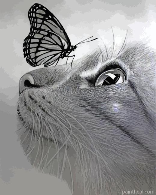 Monochrome Cat And Butterfly Painting By Numbers Kits