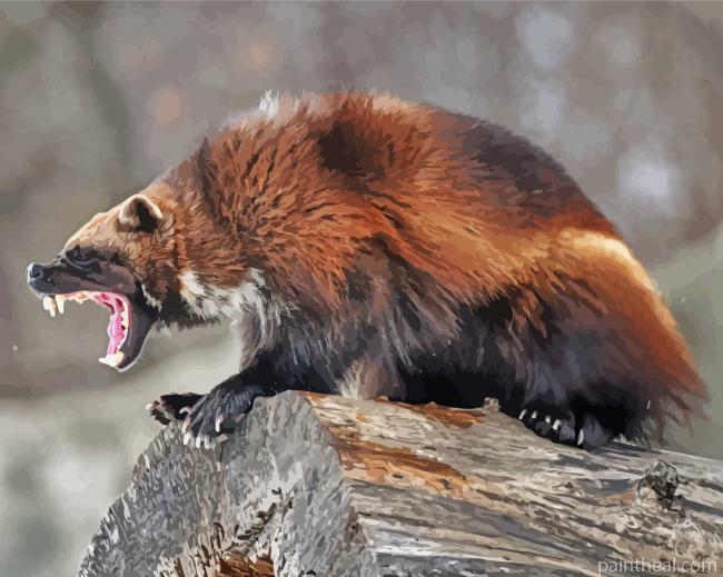Wild Wolverine Painting By Numbers Kits