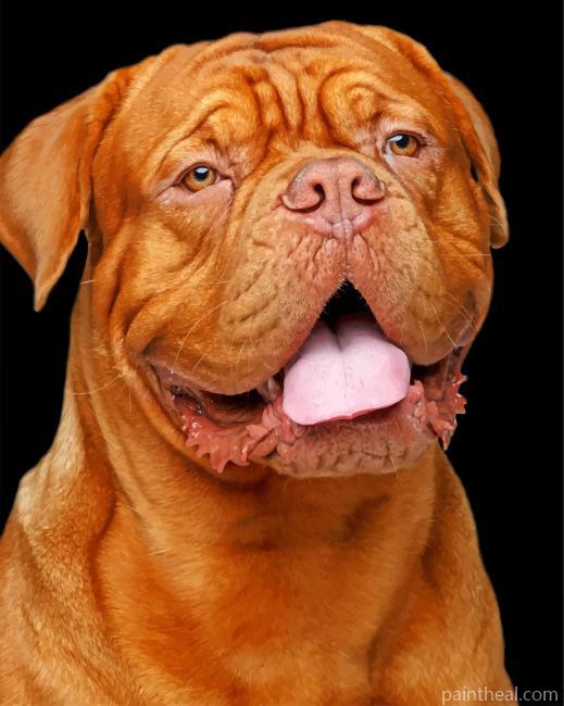 Happy Dogue de Bordeaux Painting By Numbers Kits