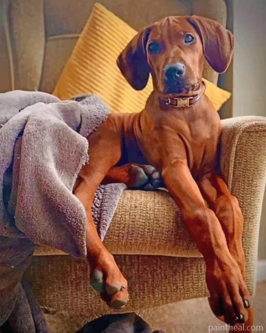 Rhodesian Ridgeback Painting By Numbers Kits