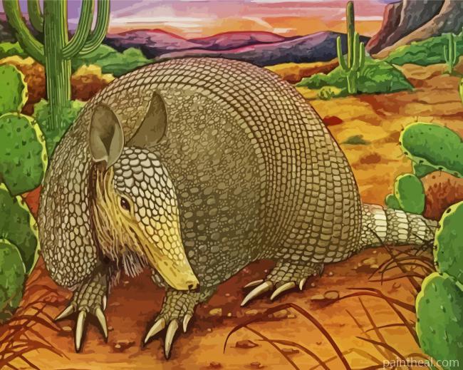 Armadillo In The Desert Painting By Numbers Kits