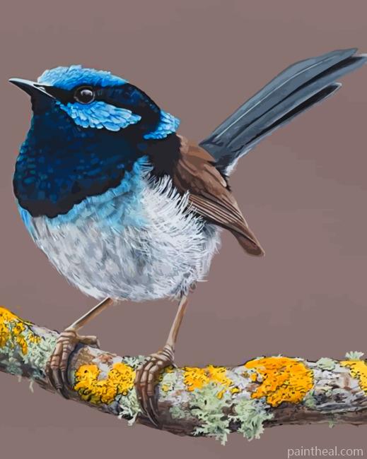 Blue Wren Painting By Numbers Kits
