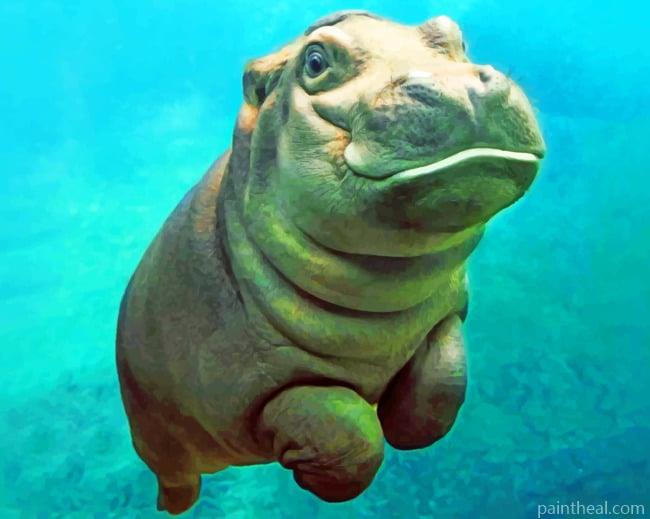 Swimming Hippo Painting By Numbers Kits