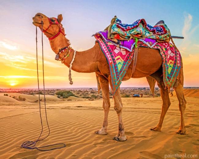 Arabian Camel Desert Painting By Numbers Kits