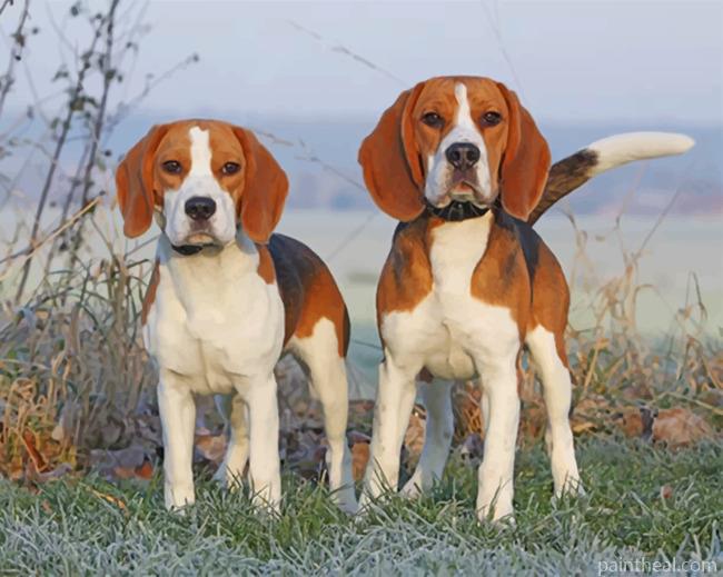 Beagles Puppies Painting By Numbers Kits