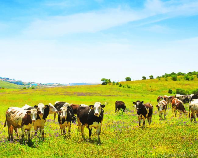 Farm Landscape With Animals Painting By Numbers Kits