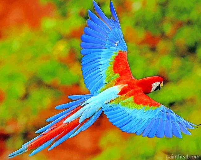 Flying Colorful Scarlet Macaw Painting By Numbers Kits