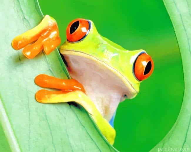 Wide Frog Painting By Numbers Kits