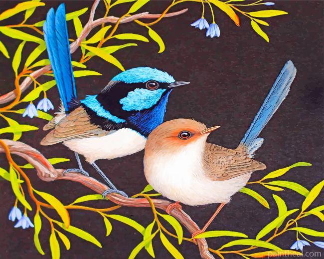 Blue Wren And Brown Bird Painting By Numbers Kits