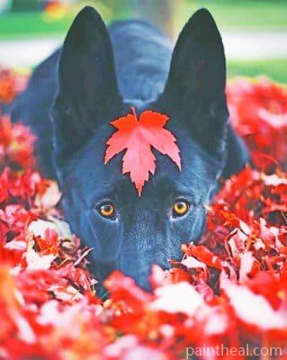 Black German Shepherd Fall Painting By Numbers Kits