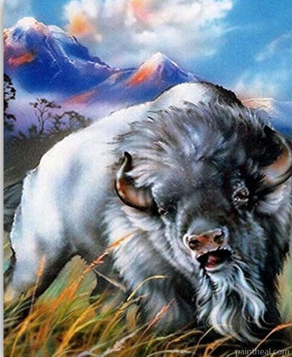 A Mighty Bison Painting By Numbers Kits