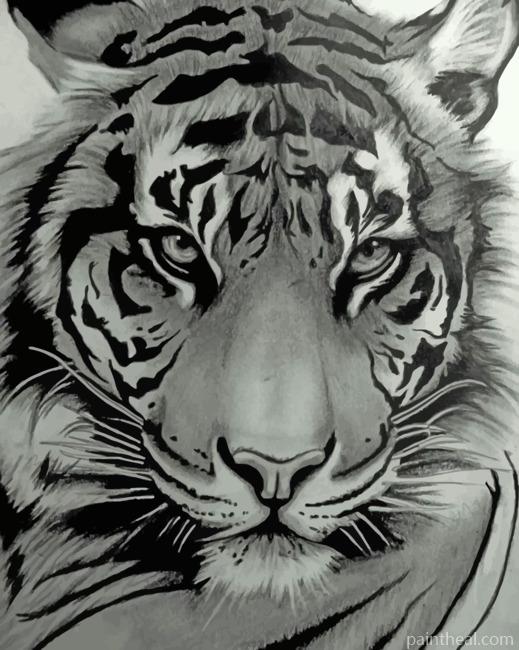 Monochrome Tiger Painting By Numbers Kits