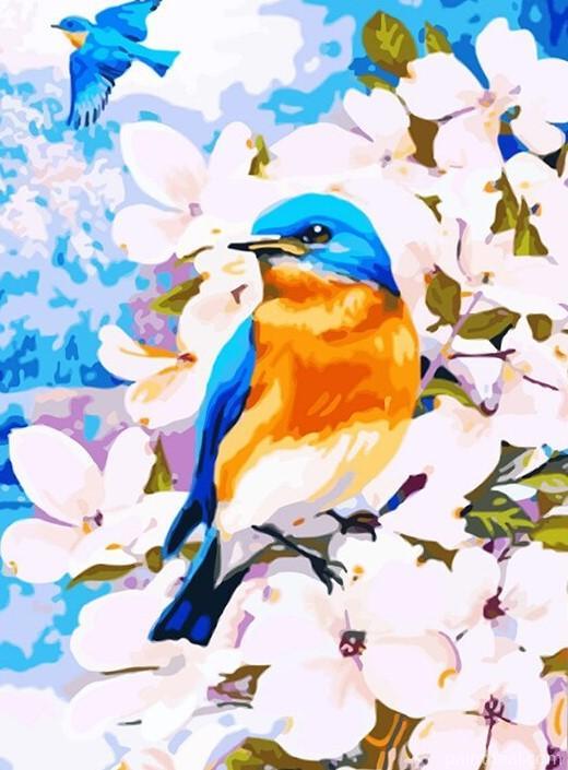 Blue Birds On Flowers Painting By Numbers Kits