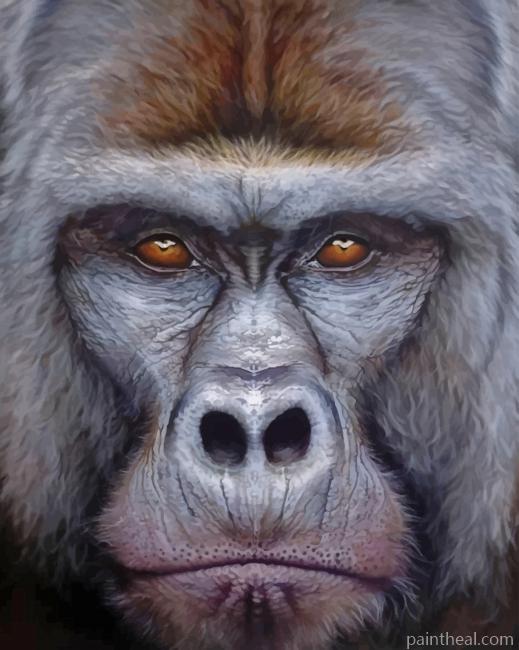 Gorilla Portrait Painting By Numbers Kits