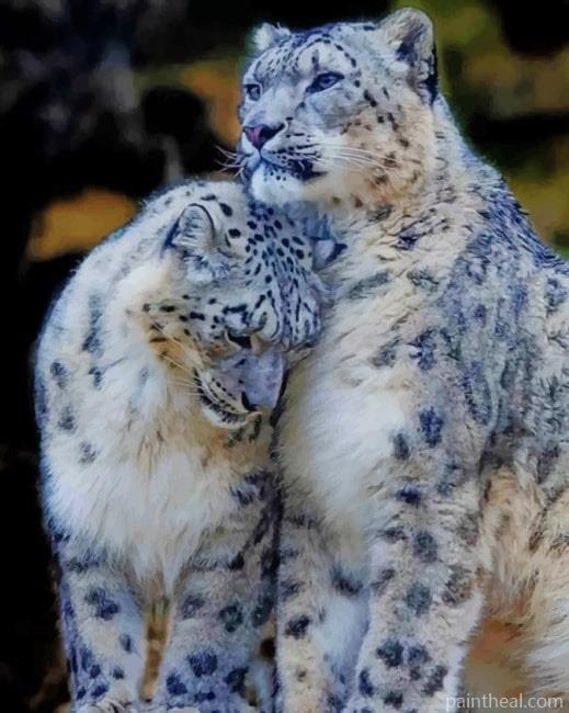 Snow Leopards Couple – 5D Diamond Painting Painting By Numbers Kits