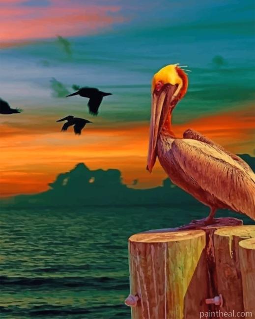 Aesthetic Pelican Bird Painting By Numbers Kits