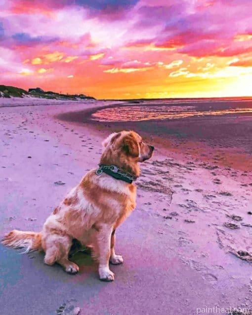 Labrador Dog Watching Sunset Painting By Numbers Kits