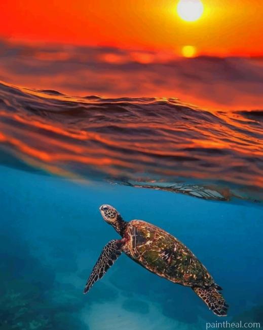 Sea Turtle And Sunset Painting By Numbers Kits