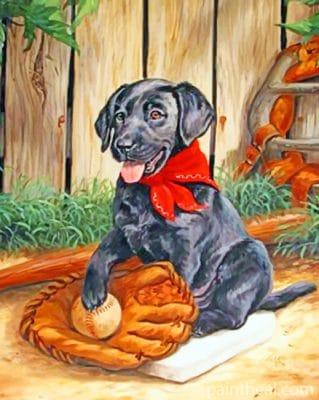 Black Dog Playing Baseball Painting By Numbers Kits