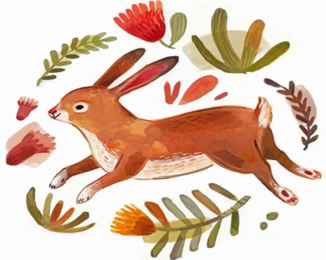 Hare Illustration Painting By Numbers Kits