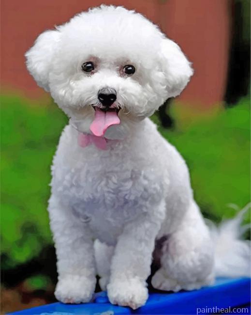 White Bichon Frise Painting By Numbers Kits