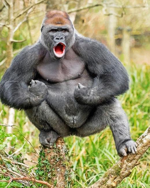 Silverback Gorilla Painting By Numbers Kits