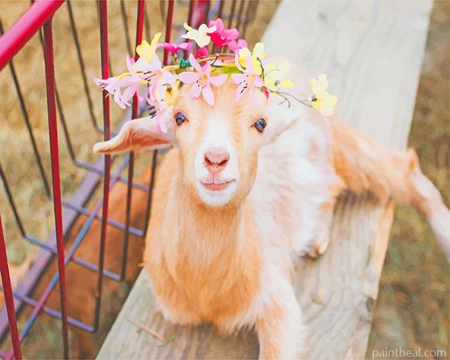 Cute Goat Painting By Numbers Kits