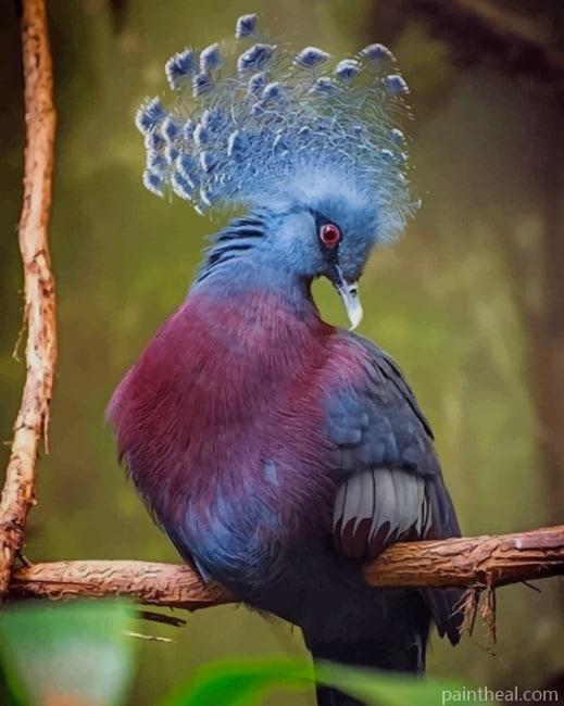 Victoria Crowned Pigeon Painting By Numbers Kits