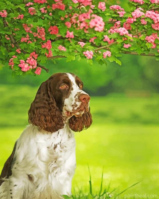 Aesthetic Springer Spaniel Painting By Numbers Kits