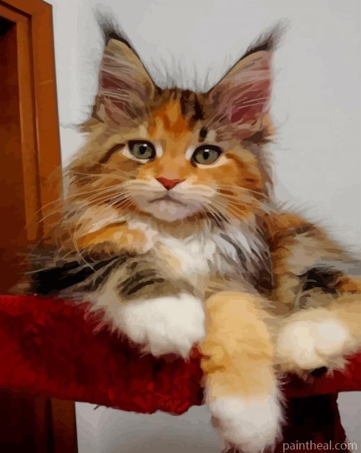 Calico Maine Coon Kitten Painting By Numbers Kits
