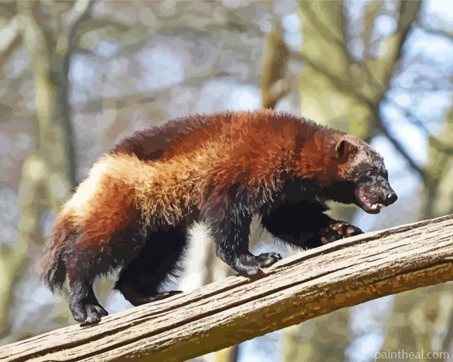 Wolverine Animal Painting By Numbers Kits