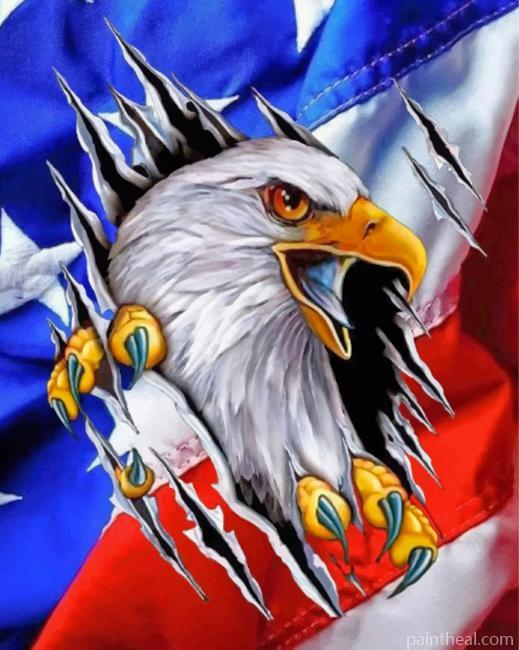 American Flag Eagle Painting By Numbers Kits