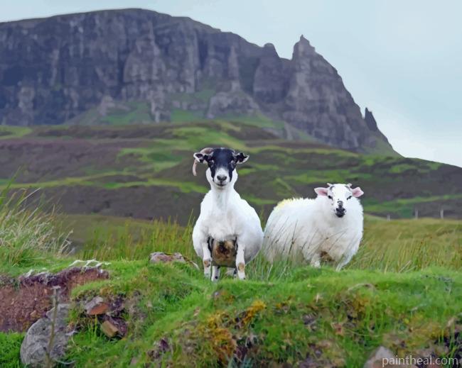 Isle Of Skye Painting By Numbers Kits