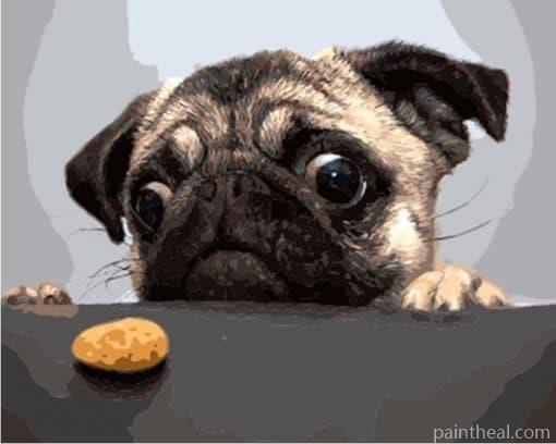 Dog And Cookie Painting By Numbers Kits